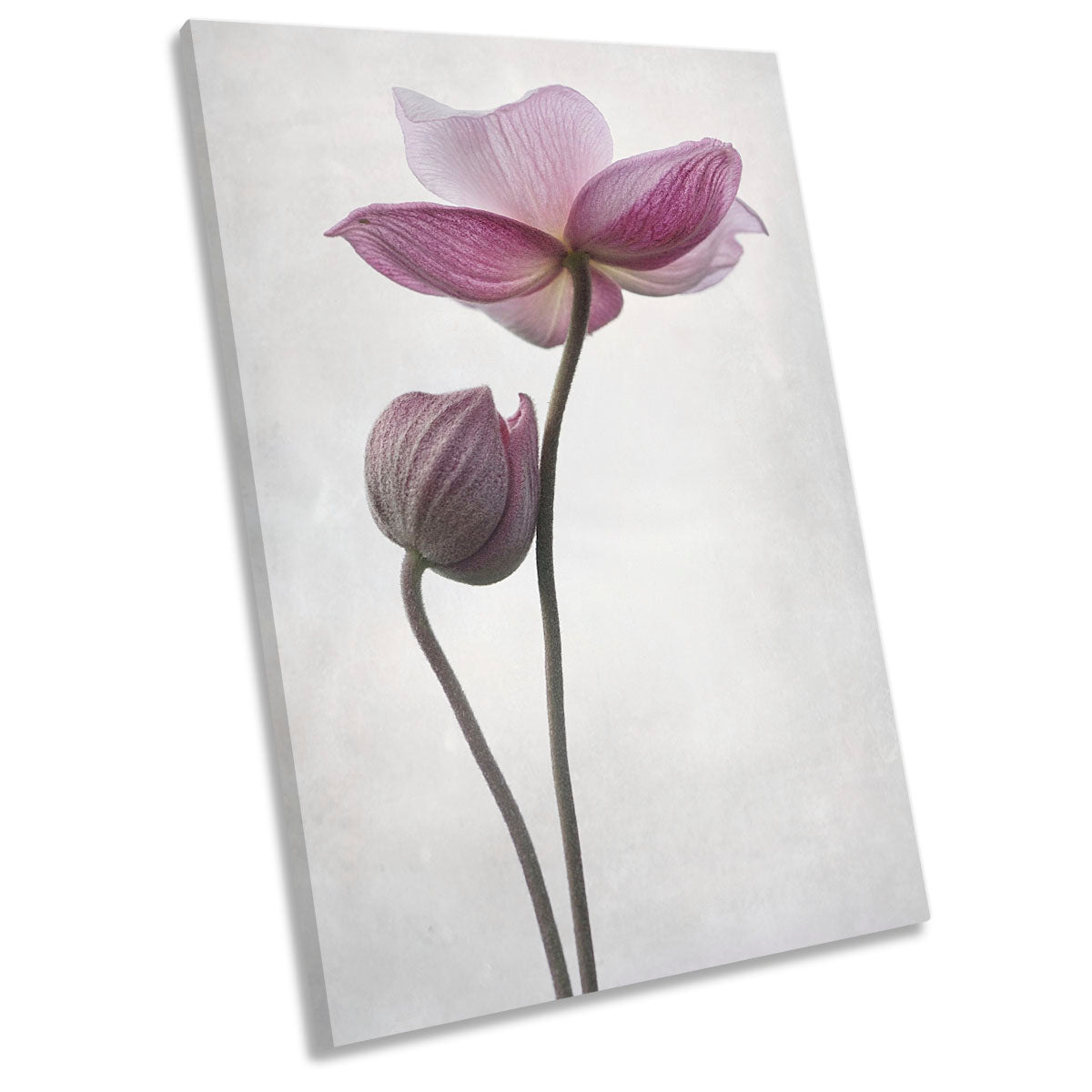 A Little Touch Pink Flower Floral CANVAS WALL ART Portrait Picture Print
