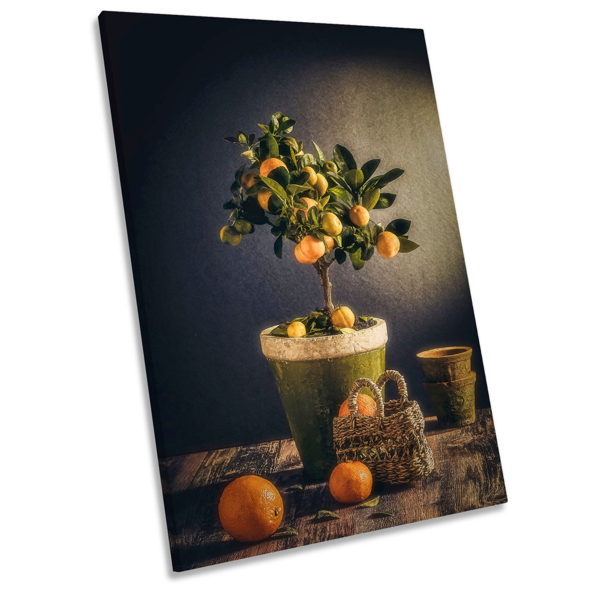 Winter Pots Basket Floral Plant Still Life CANVAS WALL ART Portrait Picture Print