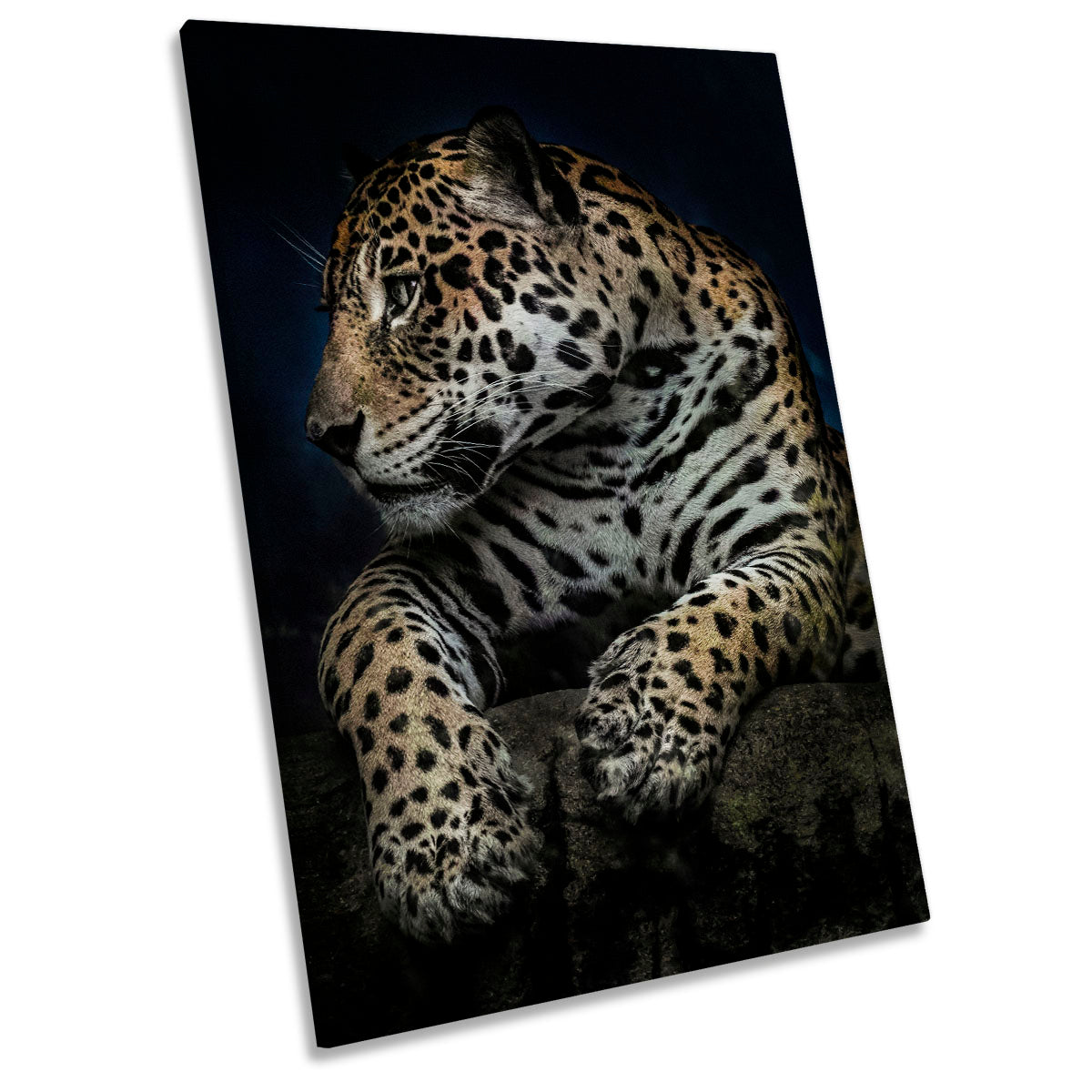 A Moment After Dinner Leopard Wildlife CANVAS WALL ART Portrait Picture Print