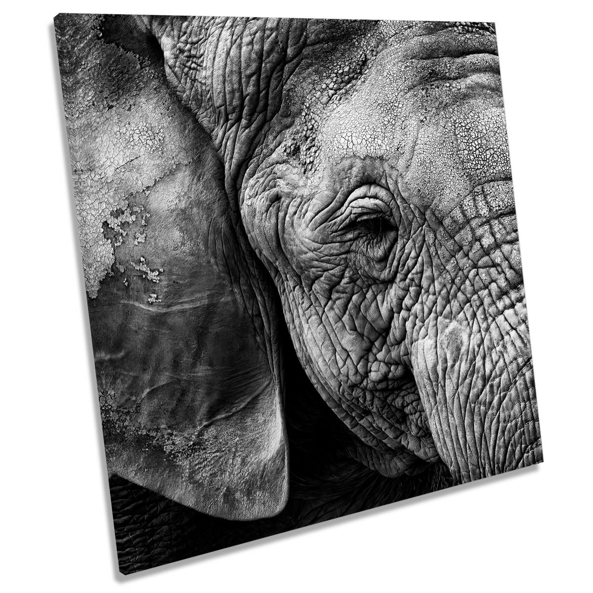 Elephant Skin Kenya Safari