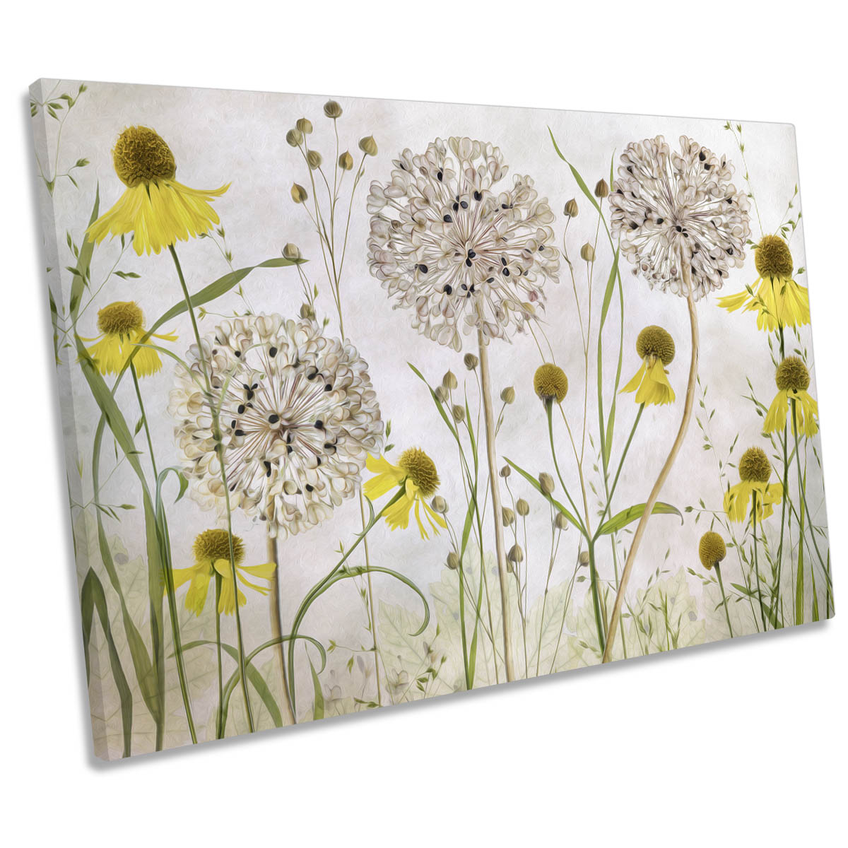 Alliums and Heleniums Floral Flowers CANVAS WALL ART Print Picture