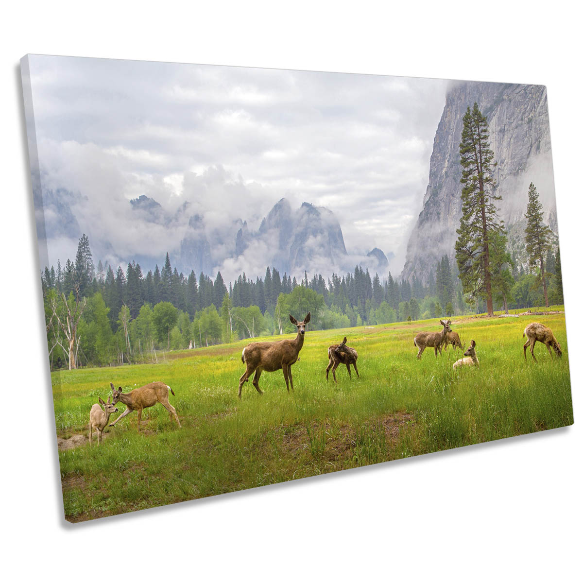 A Feeling of Ancient Time Deer Wildlife CANVAS WALL ART Print Picture