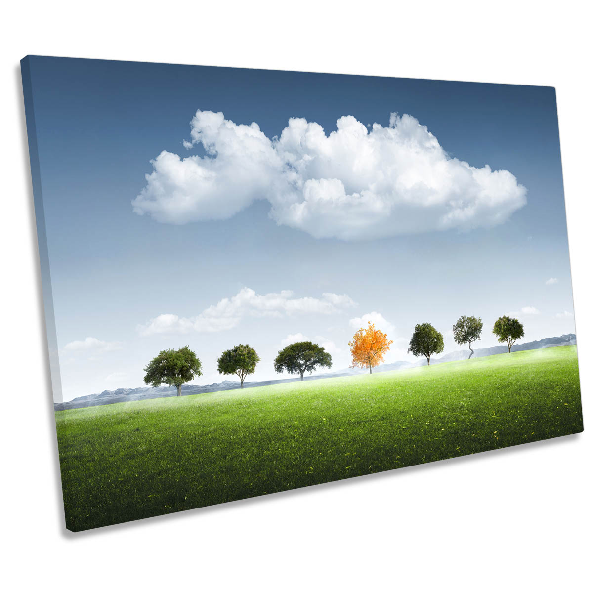 Seven Trees Landscape Seasons CANVAS WALL ART Print Picture