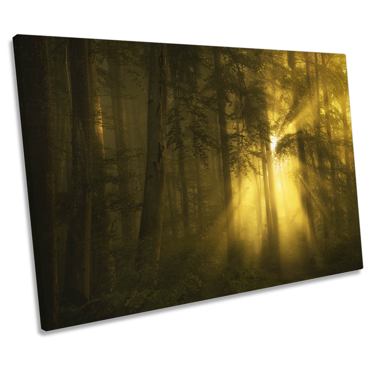 Yellow Morning Sunrise Forest CANVAS WALL ART Print Picture