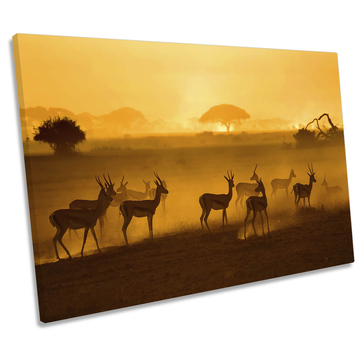 African Wildlife Sunset Nature Orange CANVAS WALL ART Print Picture