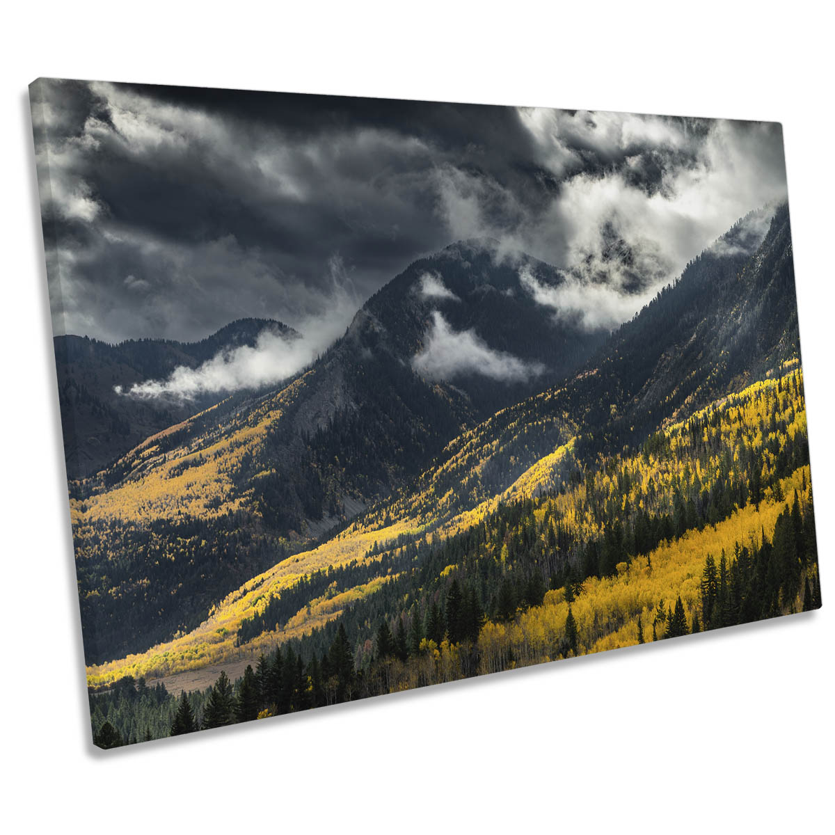 Yellow Trees Forest on the Mountain CANVAS WALL ART Print Picture