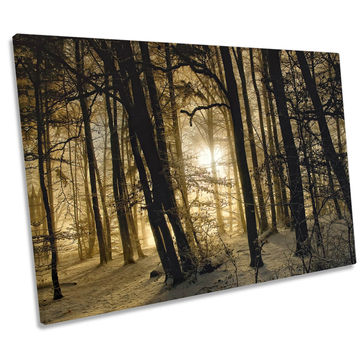 Winter Morning Forest Sunrise CANVAS WALL ART Print Picture