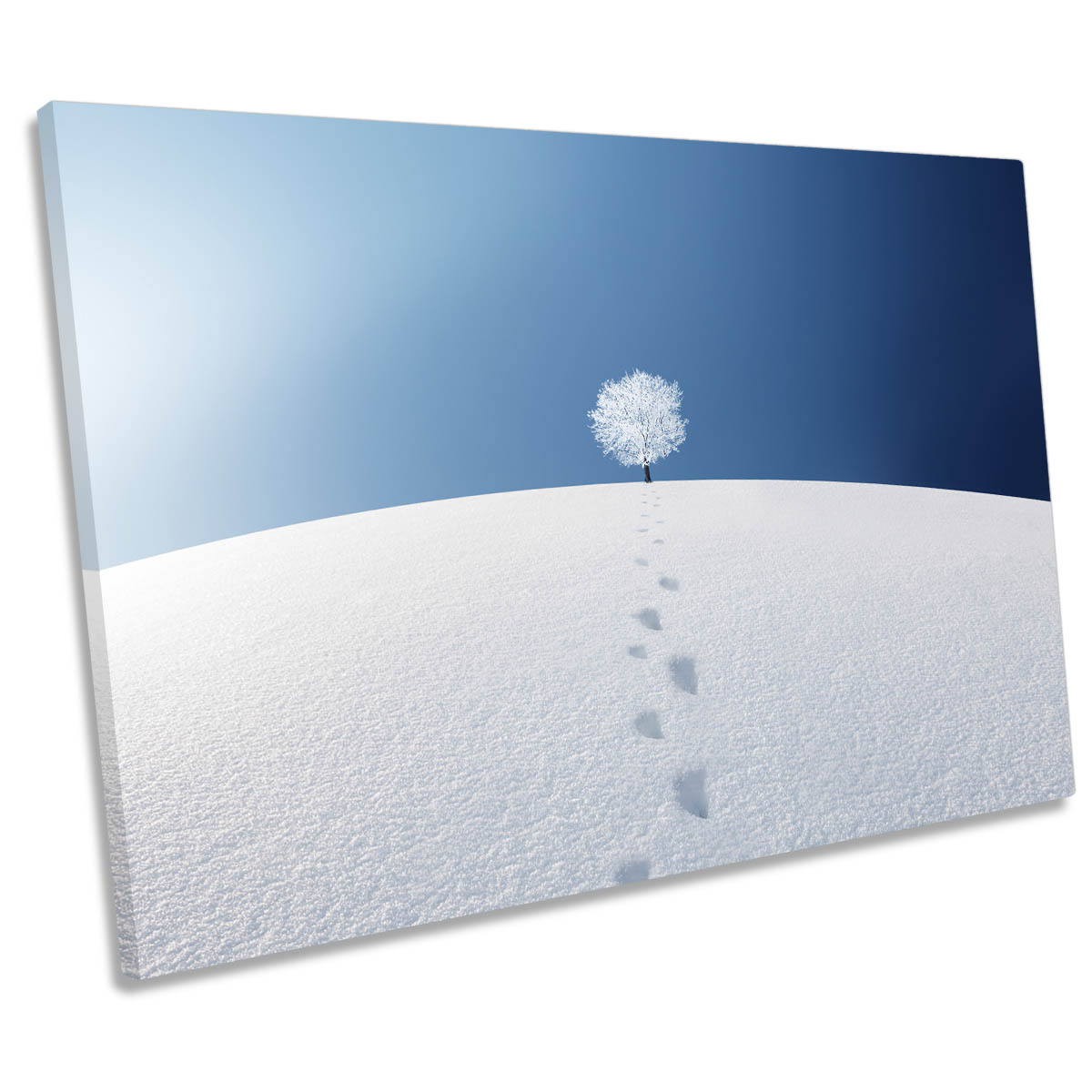 A Tree in a Field Winter CANVAS WALL ART Print Picture