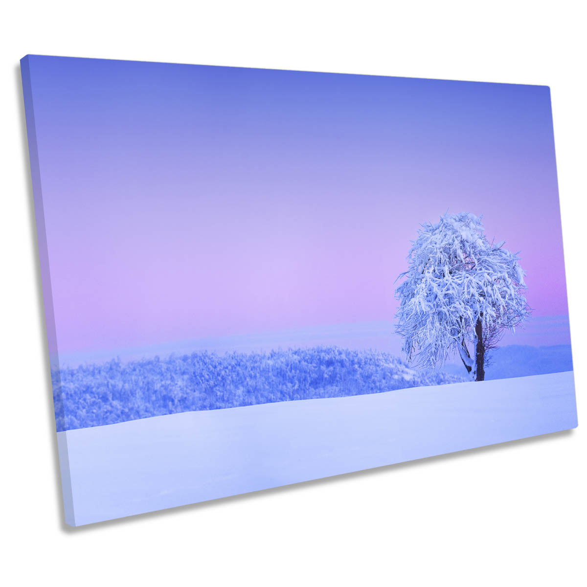 Winter Tree Snow Landscape Pink Sunset CANVAS WALL ART Print Picture