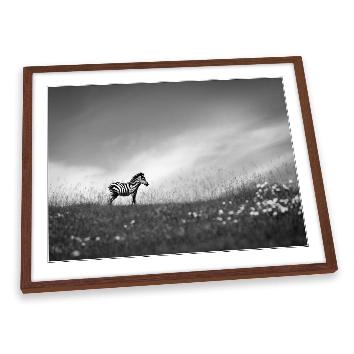 Zebra Stands on the Hill Wildlife FRAMED ART PRINT Picture Artwork