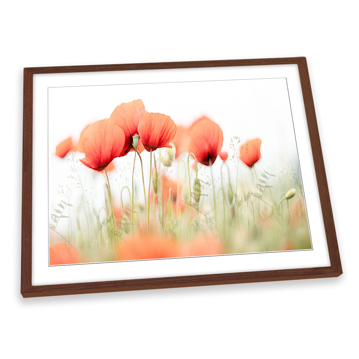 Red Poppy Flowers Summer Day FRAMED ART PRINT Picture Artwork
