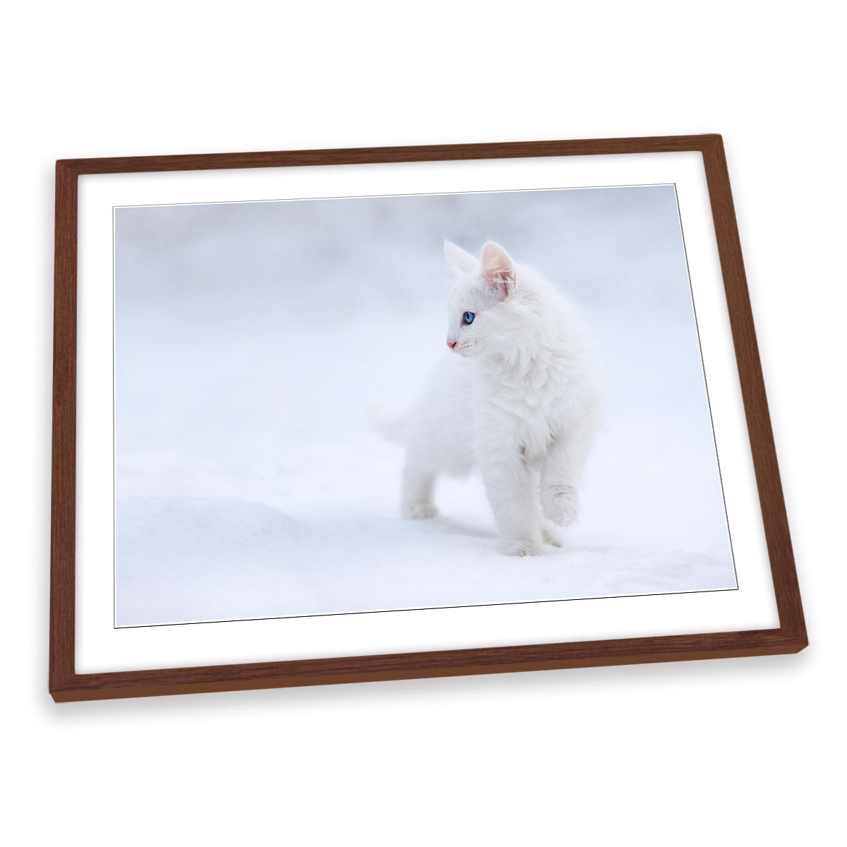 White as Snow Cat FRAMED ART PRINT Picture Artwork