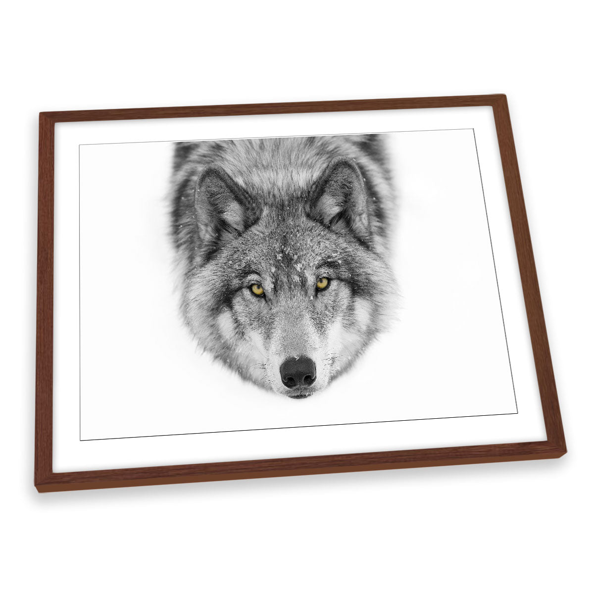 Yellow Eyes Timber Wolf Snow Wildlife FRAMED ART PRINT Picture Artwork