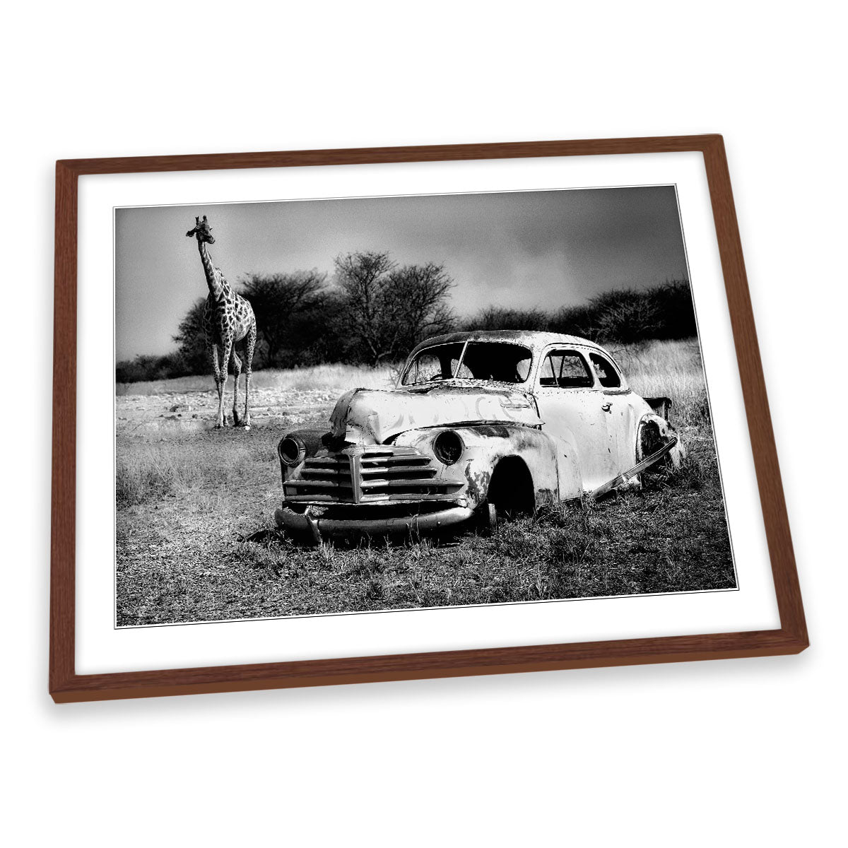 Acquaintance Car Wreck Giraffe FRAMED ART PRINT Picture Artwork