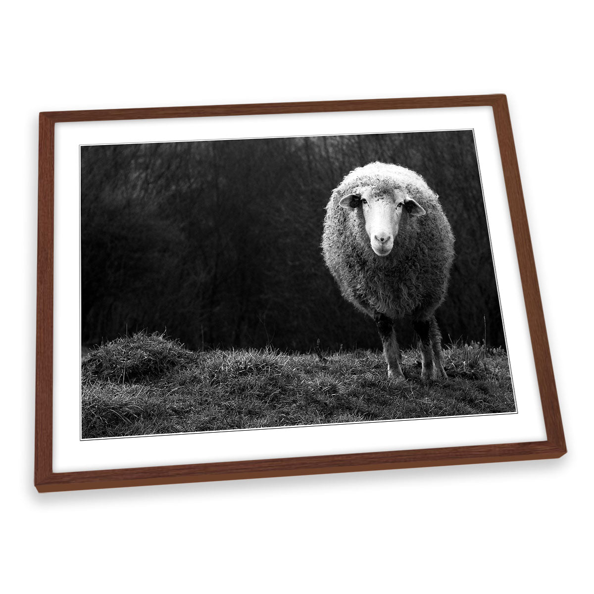 Wondering Sheep Farm FRAMED ART PRINT Picture Artwork