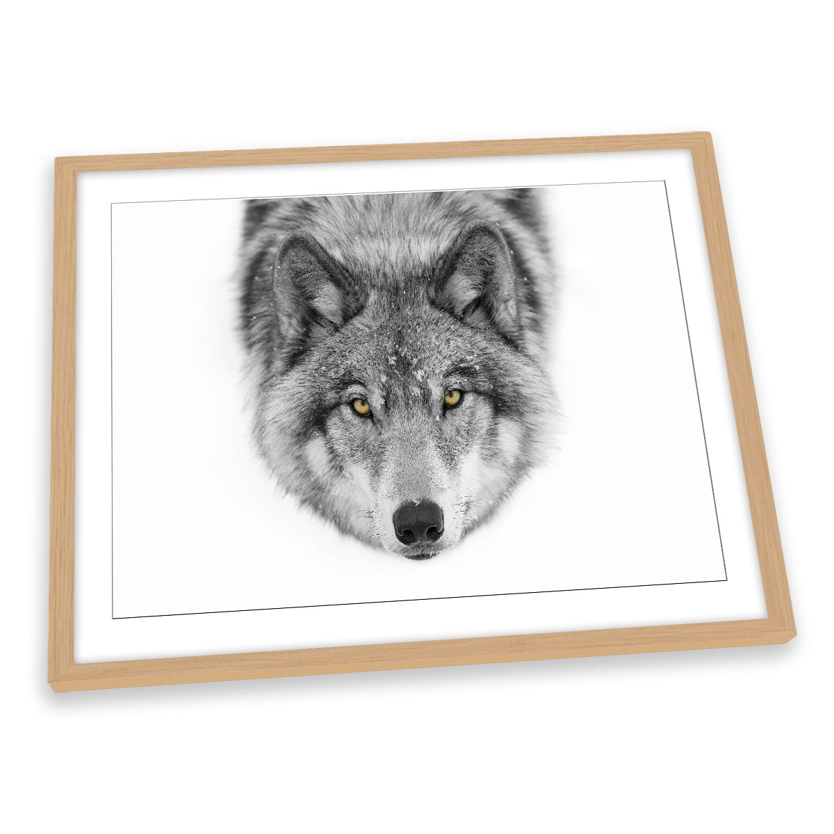 Yellow Eyes Timber Wolf Snow Wildlife FRAMED ART PRINT Picture Artwork