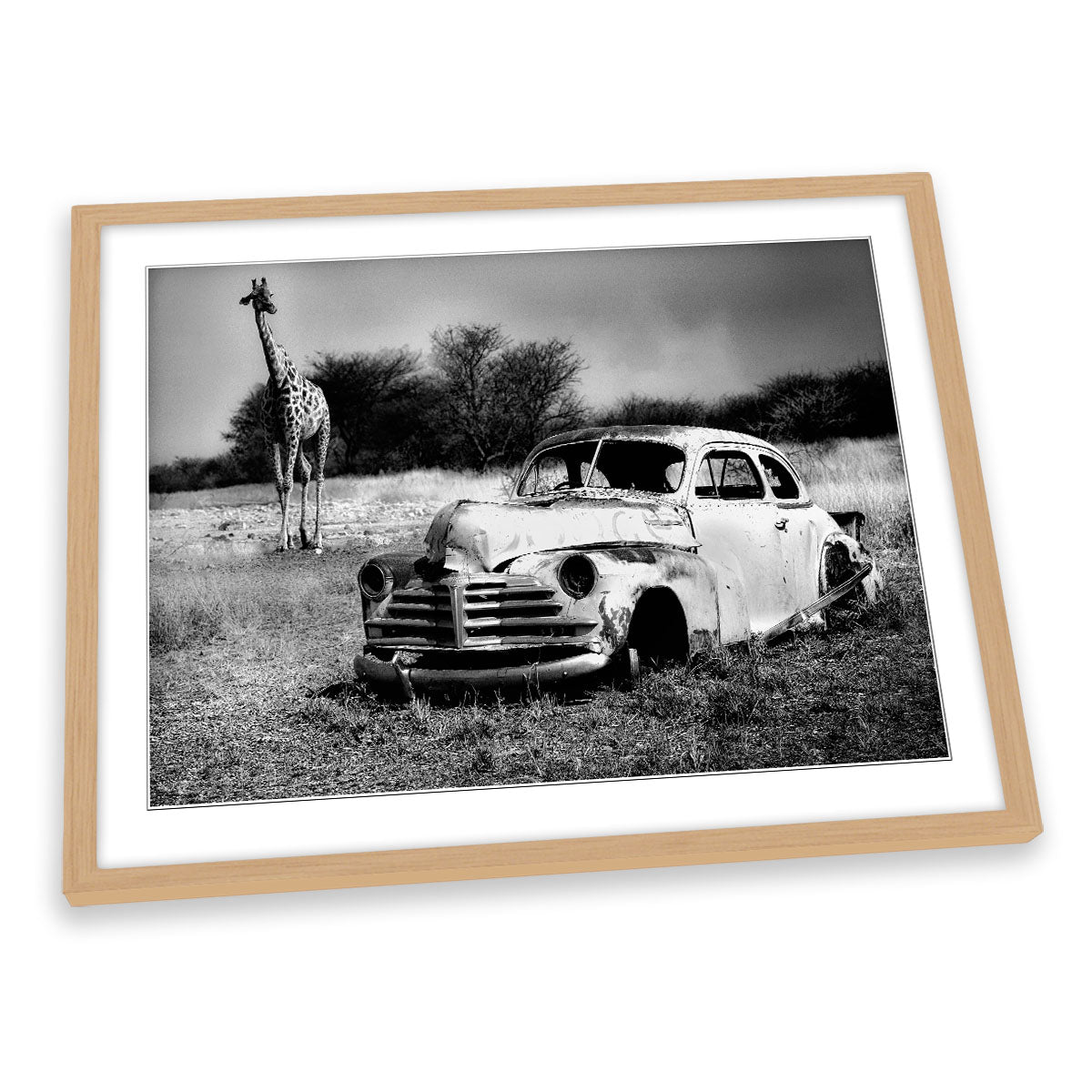 Acquaintance Car Wreck Giraffe FRAMED ART PRINT Picture Artwork