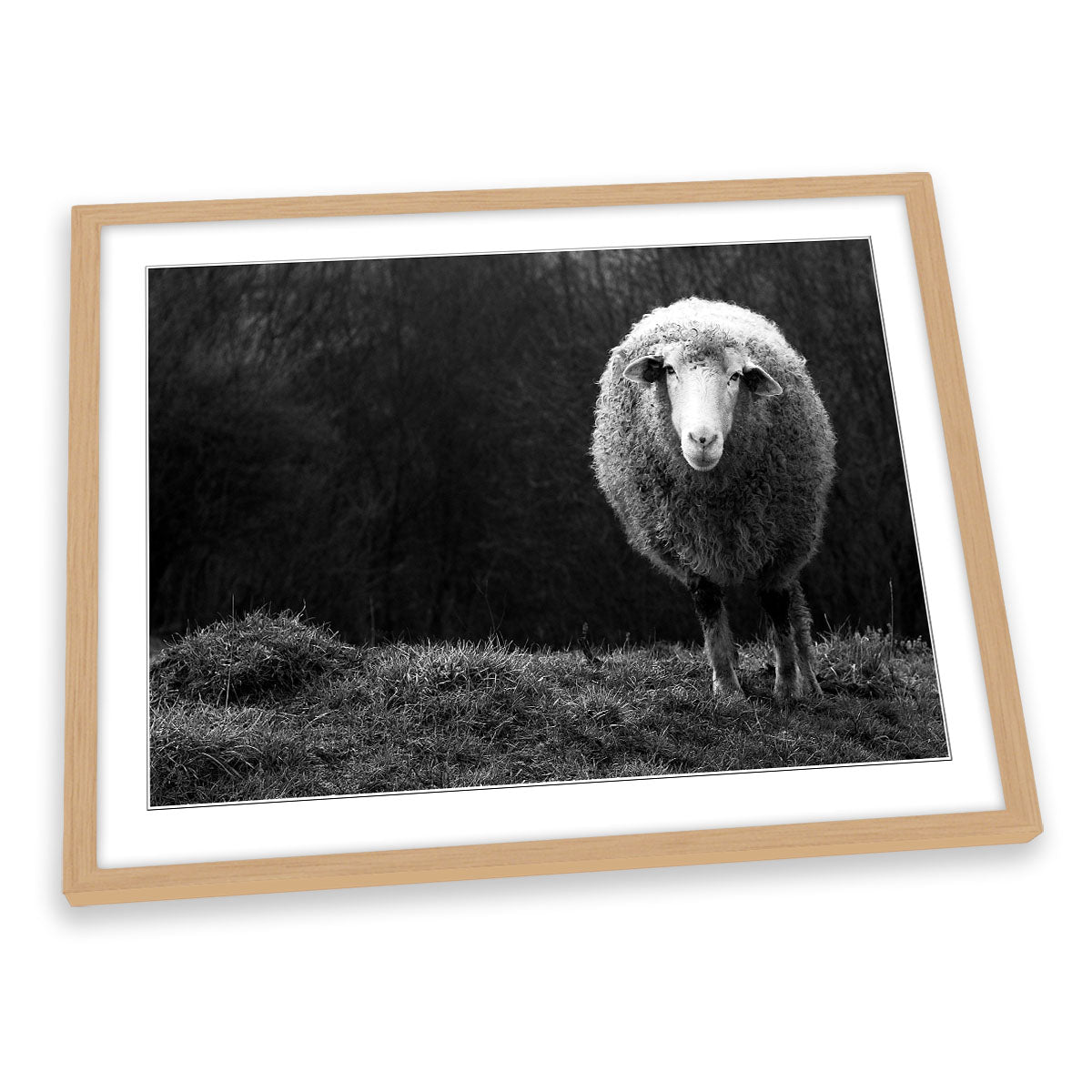 Wondering Sheep Farm FRAMED ART PRINT Picture Artwork