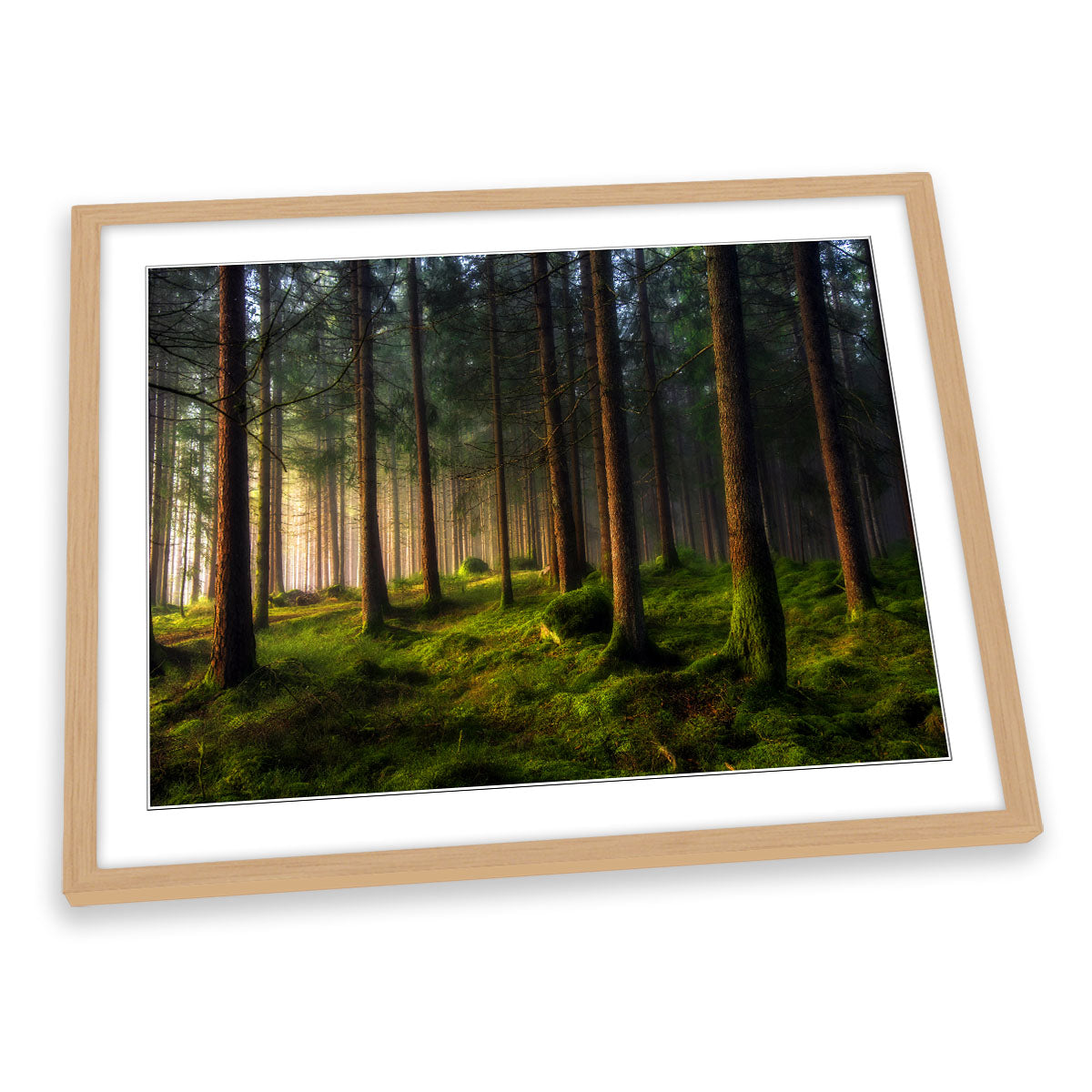 A Sense of Spring in the Forest Landscape FRAMED ART PRINT Picture Artwork