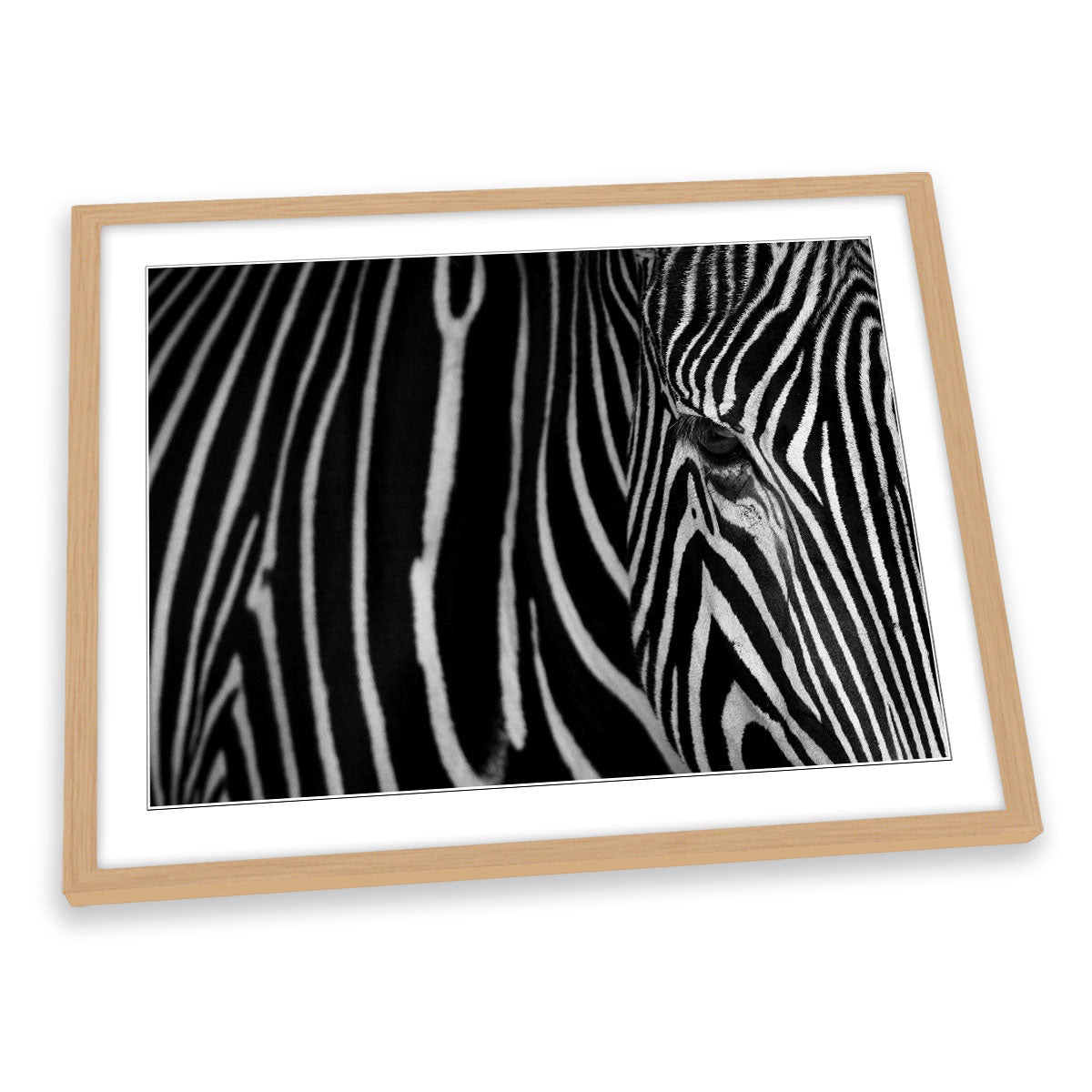 Zebra Stripes Animal FRAMED ART PRINT Picture Artwork