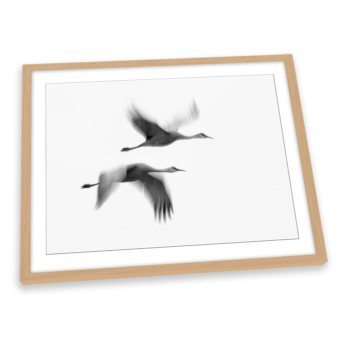 Dream Couple Crane Birds Flight FRAMED ART PRINT Picture Artwork