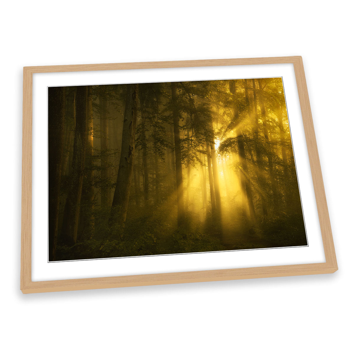 Yellow Morning Sunrise Forest FRAMED ART PRINT Picture Artwork