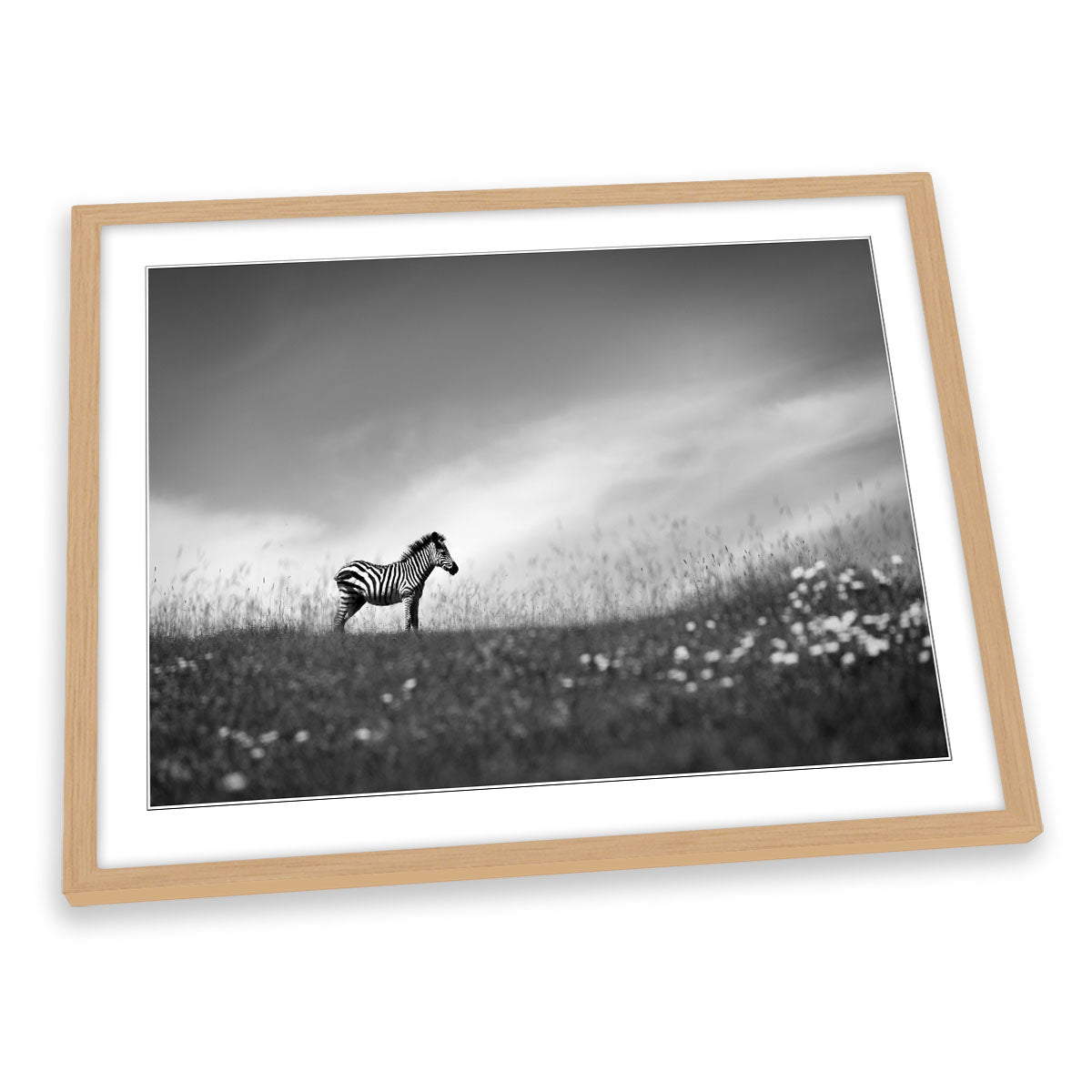 Zebra Stands on the Hill Wildlife FRAMED ART PRINT Picture Artwork