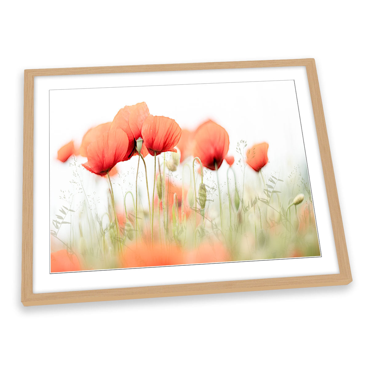 Red Poppy Flowers Summer Day FRAMED ART PRINT Picture Artwork