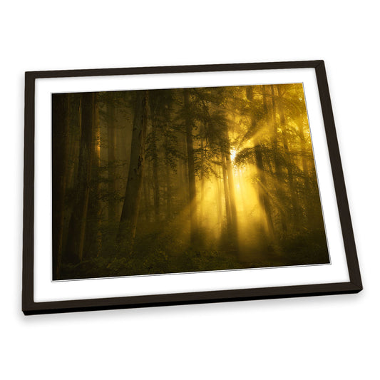 Yellow Morning Sunrise Forest FRAMED ART PRINT Picture Artwork