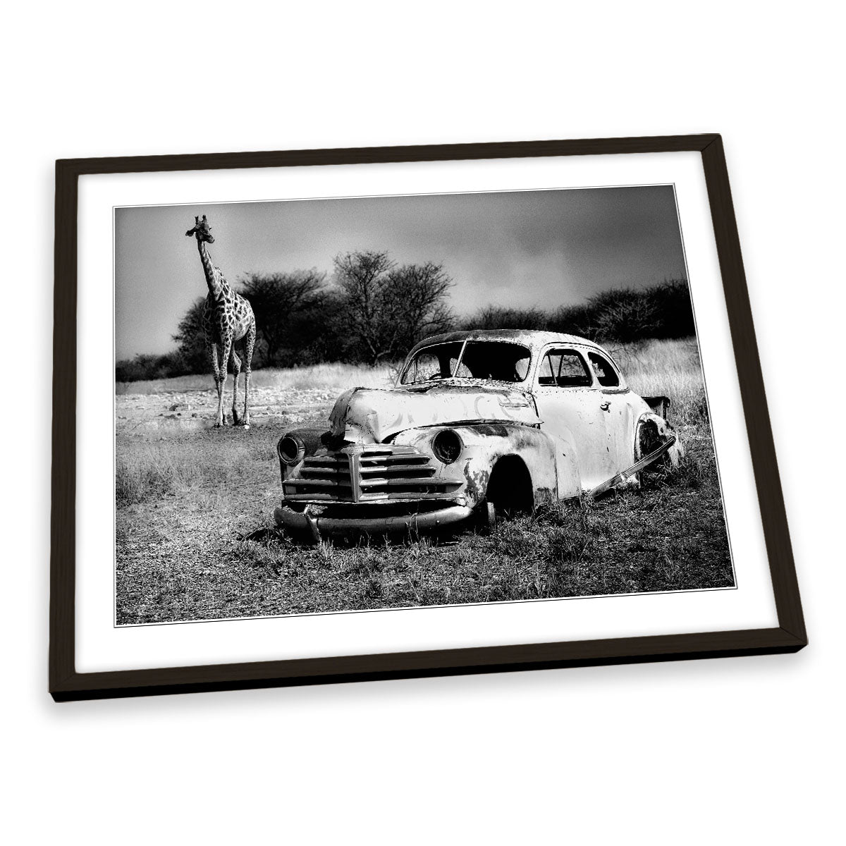 Acquaintance Car Wreck Giraffe FRAMED ART PRINT Picture Artwork