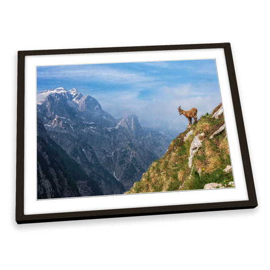 Alpine Ibex in the Mountains Goat FRAMED ART PRINT Picture Artwork