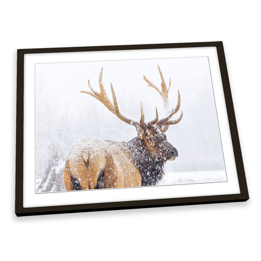 Winter Stag Deer Snow FRAMED ART PRINT Picture Artwork