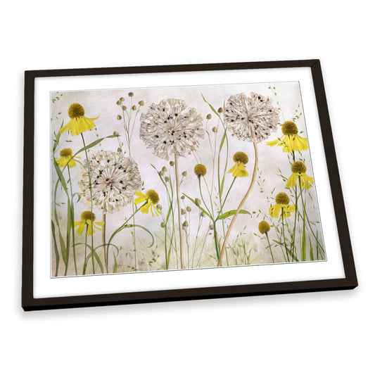 Alliums and Heleniums Floral Flowers FRAMED ART PRINT Picture Artwork
