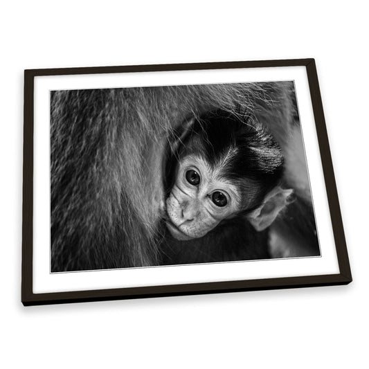 A Mother's Love Monkey FRAMED ART PRINT Picture Artwork