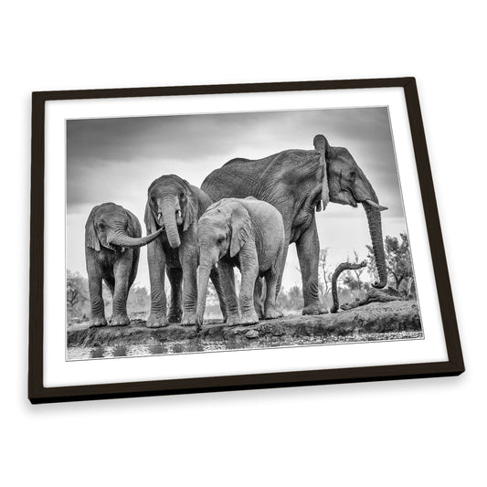 A Giant Unity Elephant Family FRAMED ART PRINT Picture Artwork