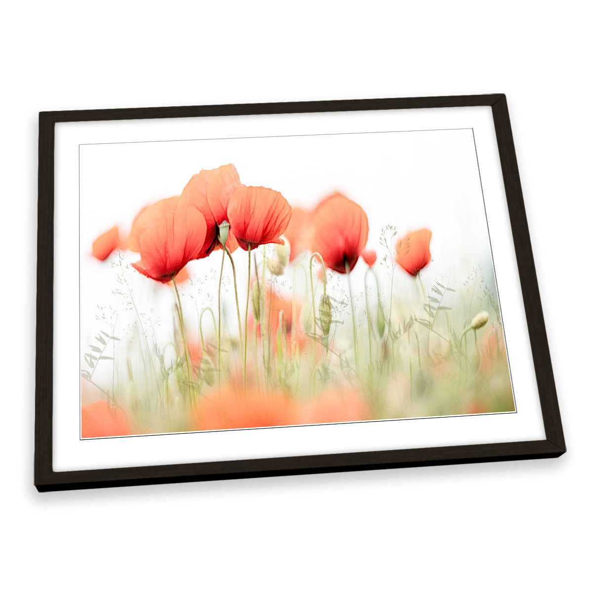 Red Poppy Flowers Summer Day FRAMED ART PRINT Picture Artwork