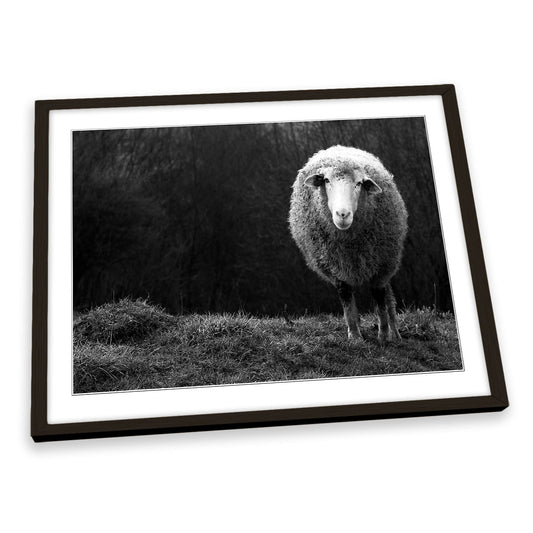 Wondering Sheep Farm FRAMED ART PRINT Picture Artwork