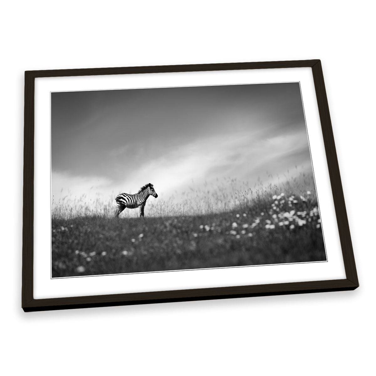 Zebra Stands on the Hill Wildlife FRAMED ART PRINT Picture Artwork