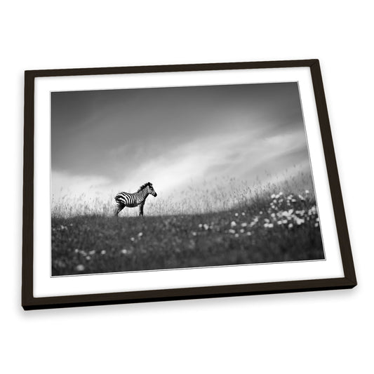 Zebra Stands on the Hill Wildlife FRAMED ART PRINT Picture Artwork