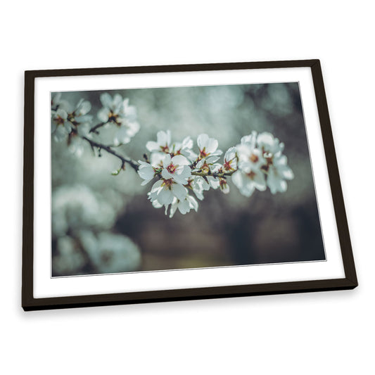 Almond Blossoms Floral Flowers Spring FRAMED ART PRINT Picture Artwork