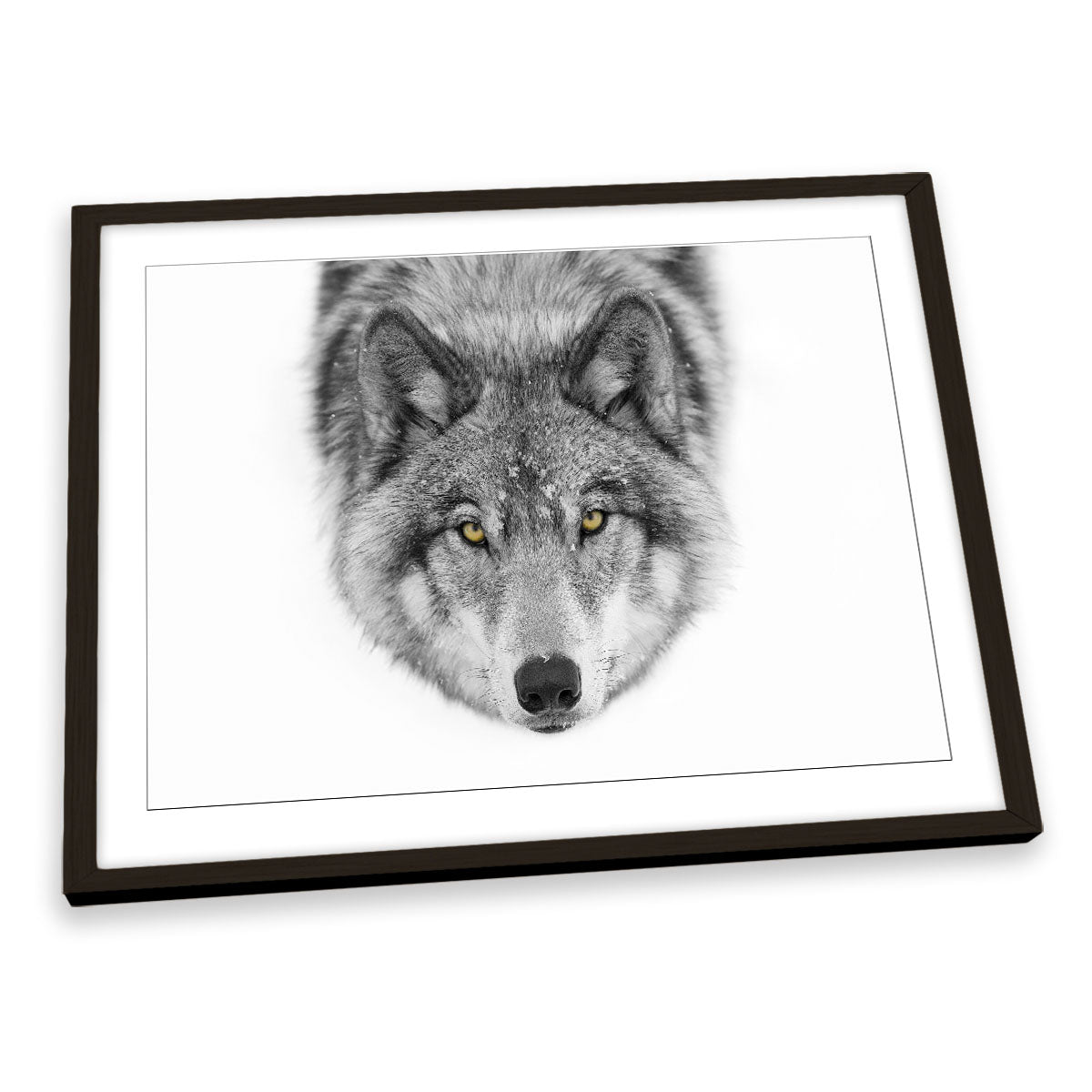Yellow Eyes Timber Wolf Snow Wildlife FRAMED ART PRINT Picture Artwork