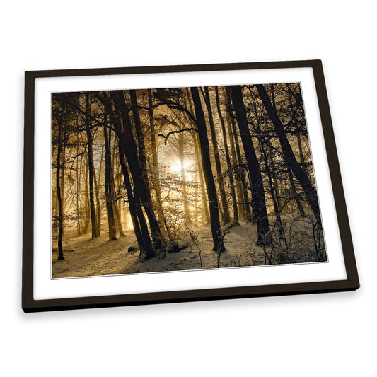 Winter Morning Forest Sunrise FRAMED ART PRINT Picture Artwork
