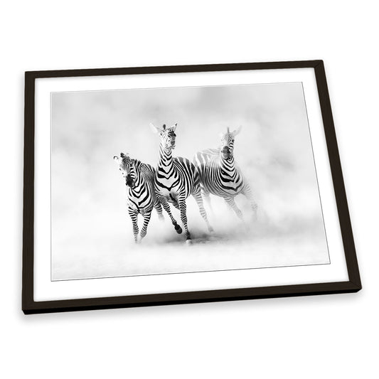 Zebras Dust Wildlife FRAMED ART PRINT Picture Artwork