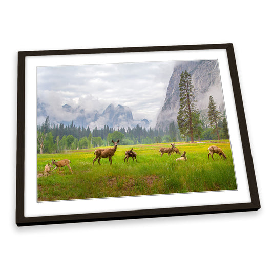 A Feeling of Ancient Time Deer Wildlife FRAMED ART PRINT Picture Artwork