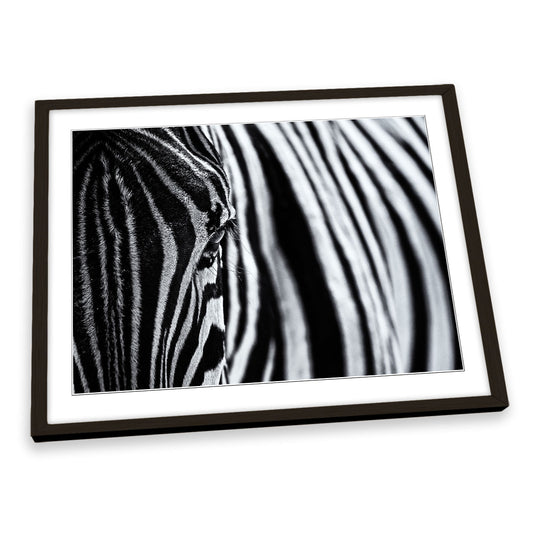 Zebra Stripes Black and White FRAMED ART PRINT Picture Artwork