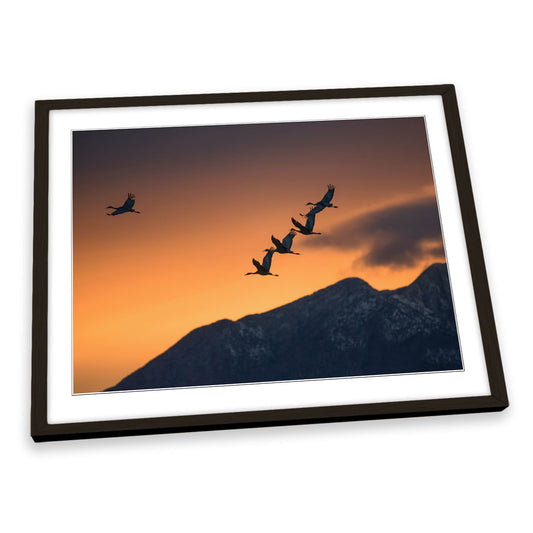 Above the Snowy Mountains Birds Orange FRAMED ART PRINT Picture Artwork