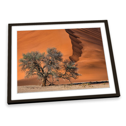 Acacia Tree in the Desert Sand Dune FRAMED ART PRINT Picture Artwork