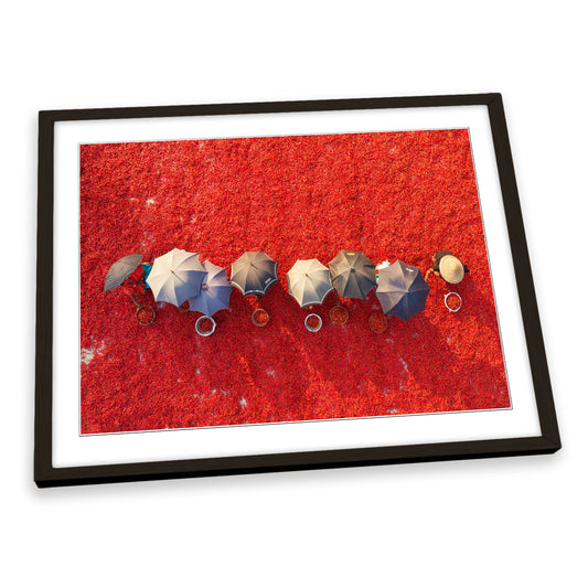Working the Red Carpet Chilli Pickers Umbrella FRAMED ART PRINT Picture Artwork
