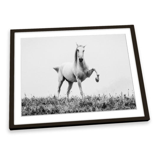 A Short Story about a White Beautiful Horse FRAMED ART PRINT Picture Artwork