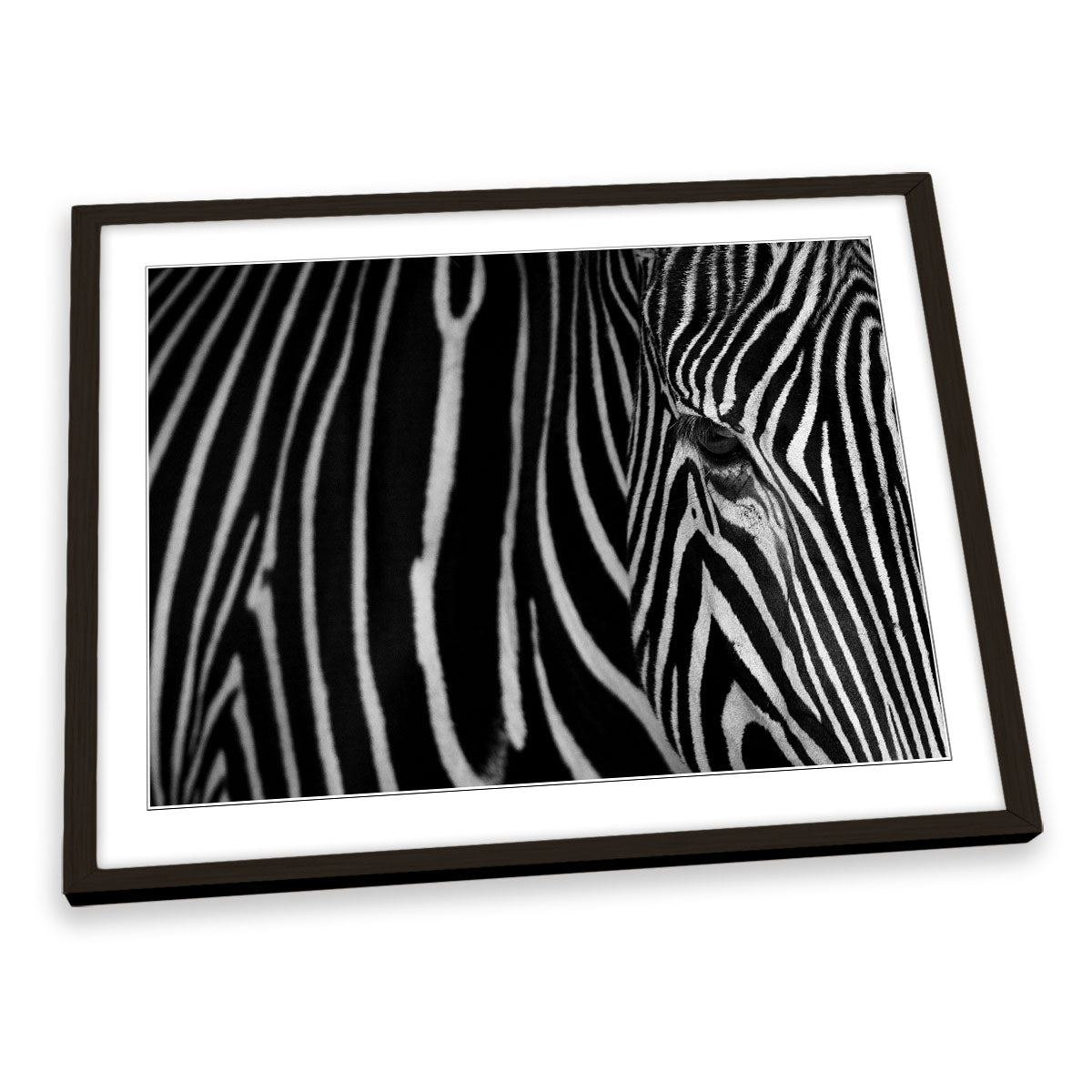 Zebra Stripes Animal FRAMED ART PRINT Picture Artwork